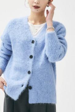 �A���^�C�g����2025�H�~���l�C���A���p�J���V���M�[�J�[�f�B�K��