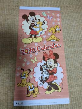 �J�����_�[