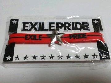 EXILE PRIDE 2013 SuX bh