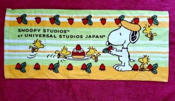  Xk[s[ tFCX^I@jbZC { UNIVERSAL STUDIOS JAPAN  EbhXgbN 2010N