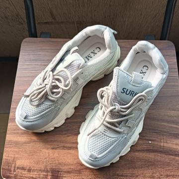 Vi 22.5cm fB[X Xj[J[ O[ V[Y C gAbv