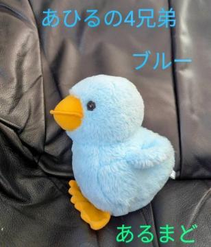 ���Ђ��4�Z��/���Ђ�̎l�Z��/�ʂ������/���Ђ�/�_�b�N/�ʂ������/�u���[/����܂�