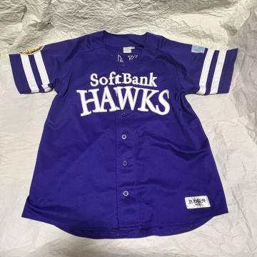 �� �����\�t�g�o���N�z�[�N�X ��̍ՓT2013 ���v���J���j�t�H�[�� 39 L SoftBank HAWKS ��