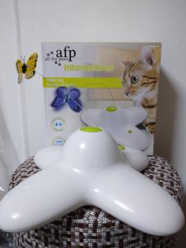 afp Lެ׼@ײ