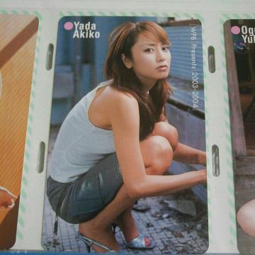 WPB��c����q�e���J