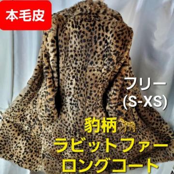 ݁є灚^rbgt@[OR[gS-XS