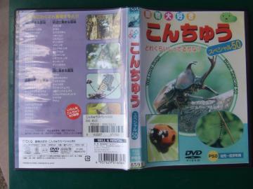 DVD DFu񂿂イAvcEwN