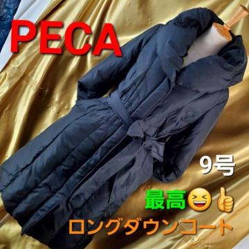 ݁204PECAōII_EOR[g9