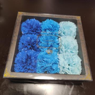 J[l[V t[ tOX Mtg n