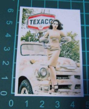 ���B���e�[�W�@ �e�L�T�R �@�s���i�b�v�K�[���@�X�e�b�J�[