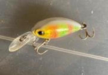 ���^�N�����N