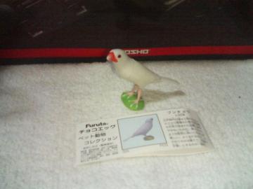   ߯ē1 @           