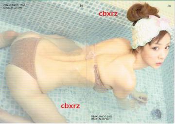 ほしのあきtwinkleさくら堂2009レギュラーコンプリート72種類