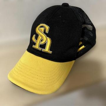 �����\�t�g�o���N�z�[�N�X ���v���J�L���b�v �X�q