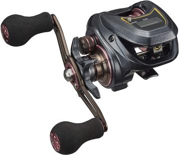 _C(DAIWA) [ g X IC