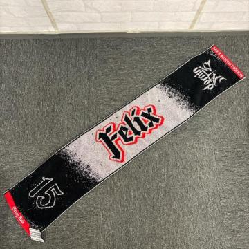  stray kids Felix domin ^I