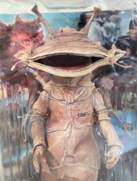 �E���g��Q �~�J�v���@�G�N�X�v���X�@����b�V���[�Y�@�J�l�S���@�t�B�M���A