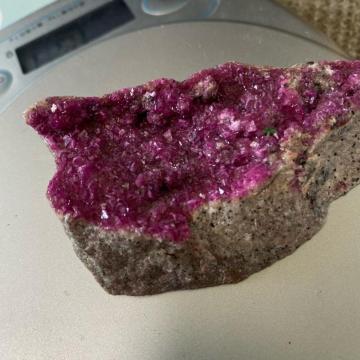 ���r�[����