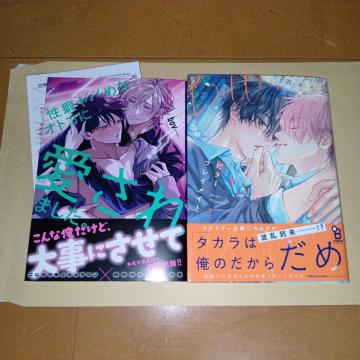 性癖ヤバめなオトコに愛されました。 bov・ビタープレイメイト 3巻 西本ろう