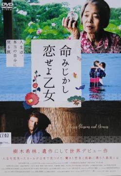 DVD@݂,扳
