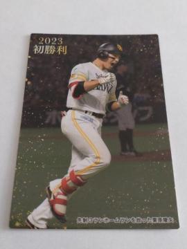 Jr[v싅`bvX2023 2e  FW-02 \tgoNz[NX 24 I˖I