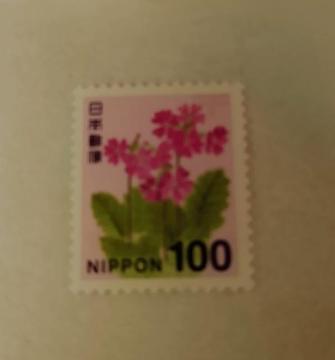 100�~�؎�@1��