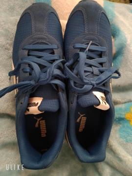 PUMA �v�[�} �X�j�[�J�[ �J�W���A���V���[�Y �����j���O�V���[�Y ���F �u���[�n