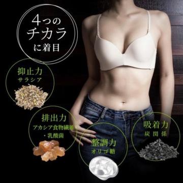�T���V�ABLACK ��3������ �Y �`���R�[���z�� �_�C�G�b�g�T�v�������g �T���V�A�u���b�N