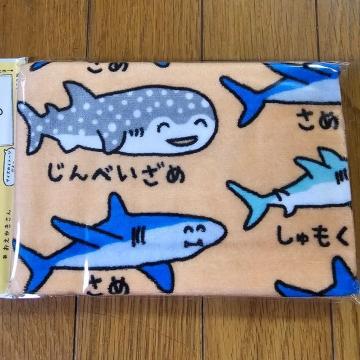 ���߁@�^�I���@������������