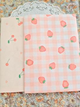 ����������䕂Ƃ������ڂ̕���2����