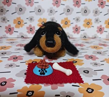 �r�уt�F���g��ڌ����̃_�b�N�X�@�a�M�E�z�l�Z�b�g