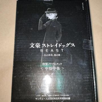 �����X�g���C�h�b�O�X�@��������@�A�N�����X�^���h�@�����O�G�[�X�@2020�N8����