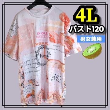 傫TCY fB[X Y  TVc re[W sN    ۂ JWA qbvzbv Xg[g