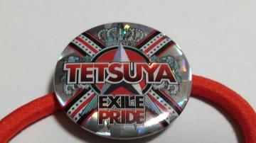 EXILE TOUR 2013 EXILE PRIDE ޲ް  EXILE TETSUYA