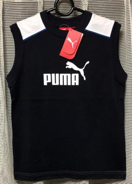VigpPUMA