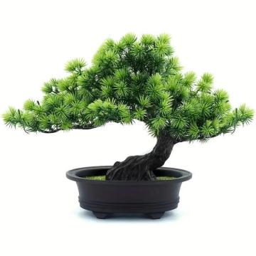 i990~lHAlH~́AƂ̑AoX[̖{IT_Ƃ̑̕ɎgpA24.13cm