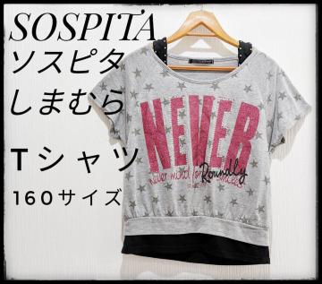SOSPITA\Xs^܂ނ灚TVc^NgbvDF160TCY܂Ƃߔ}