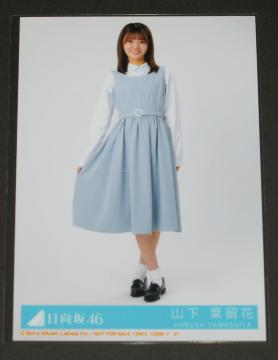 ������46�@���Ɛ����x��midnight�@���ʐ^�P���@�R���t����