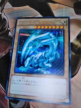 �V�Y���f���G�������X�^�[�Y