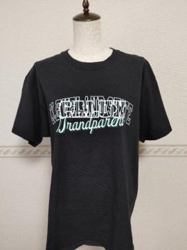 Deuxieme classe �h�D�[�Y�B�G���N���X CALUX�~Champion VINTAGE�����C�NT�V���c AP