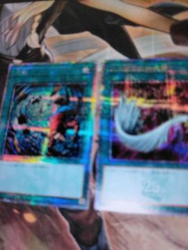 �V�Y���f���G�������X�^�[�Y