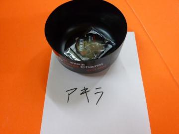 RJR[E EXILE X}z`[ AKIRA