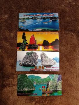 �V�i���l���x�g�i���@�n�����p�@�}�O�l�b�g4���Z�b�g