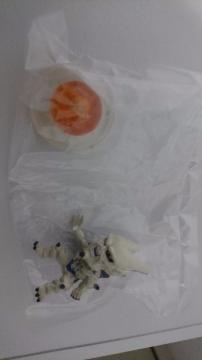 ドラゴンボールGT キャラプッチ イーシンロン