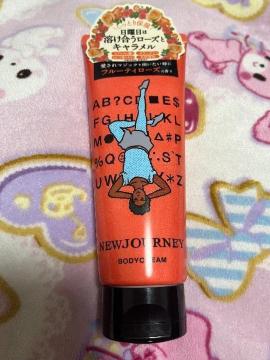 NEWJOURNEY j[W[j[{fBN[ SUN 170g