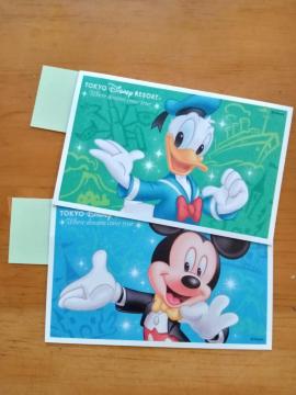東京ディズニーリゾートパークチケット 大人2枚