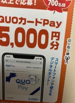 QUOJ[hpay5000~/700l5