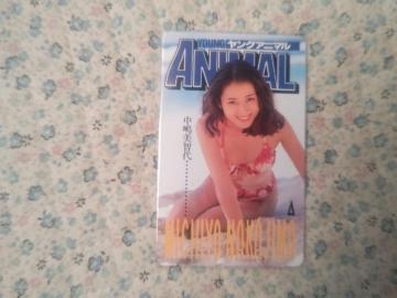 �ڶ 50�x�� �������q��  '95/3 �ݸޱ��� #5 W ���g�p