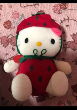 ※一部黄ばみあり※レア非売品★苺コスプレ イチゴキティ★ぬいぐるみ全長20cm