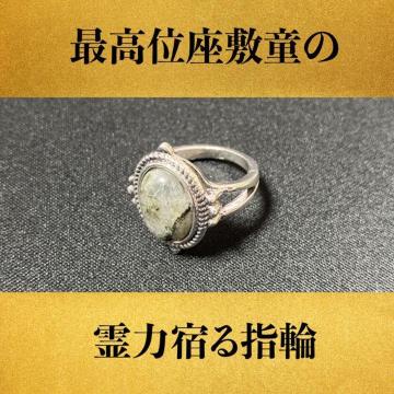 ōʑoq~炵̗͏hw2.5